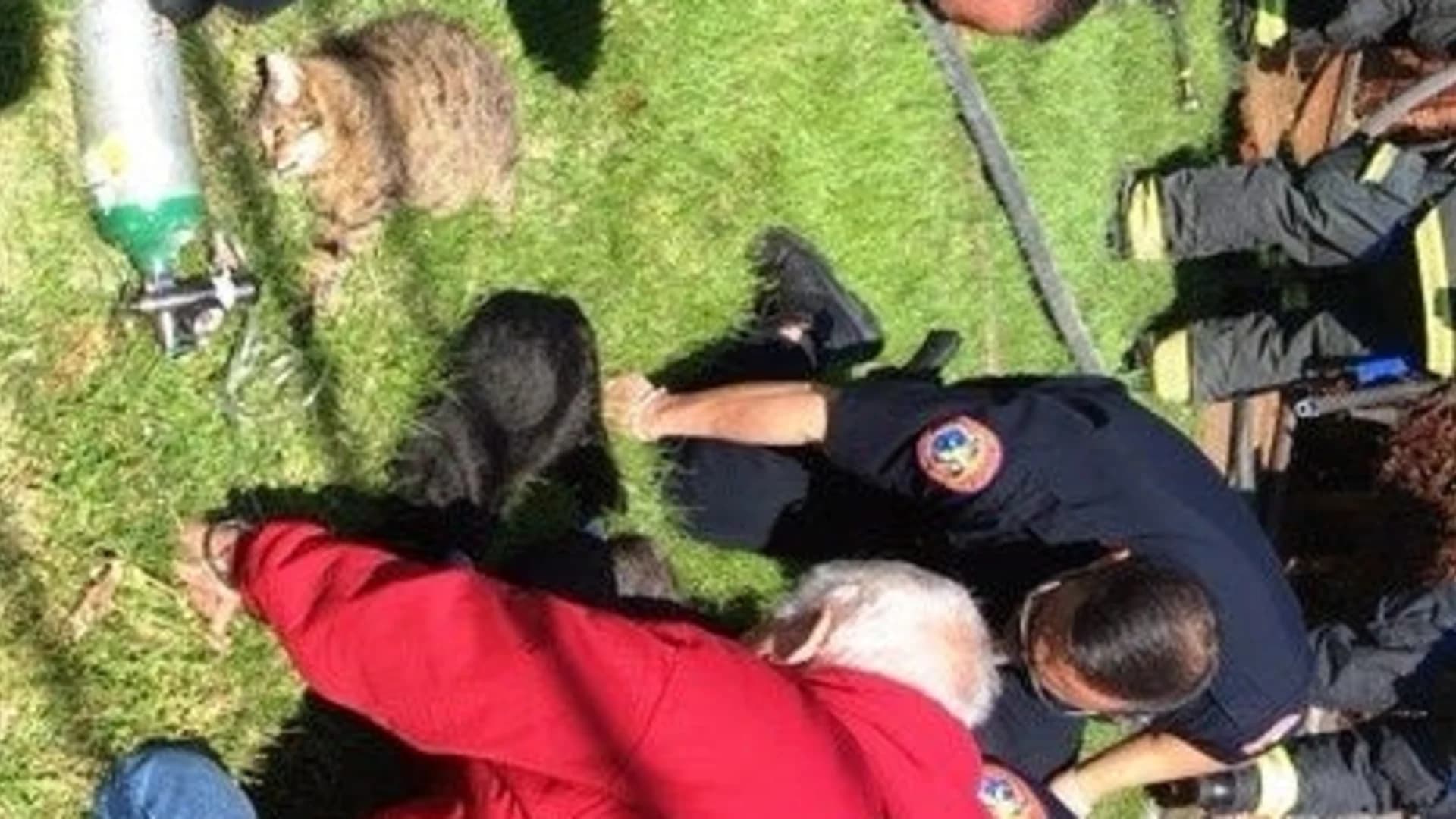 1st responders use CPR to revive cats trapped in house fire