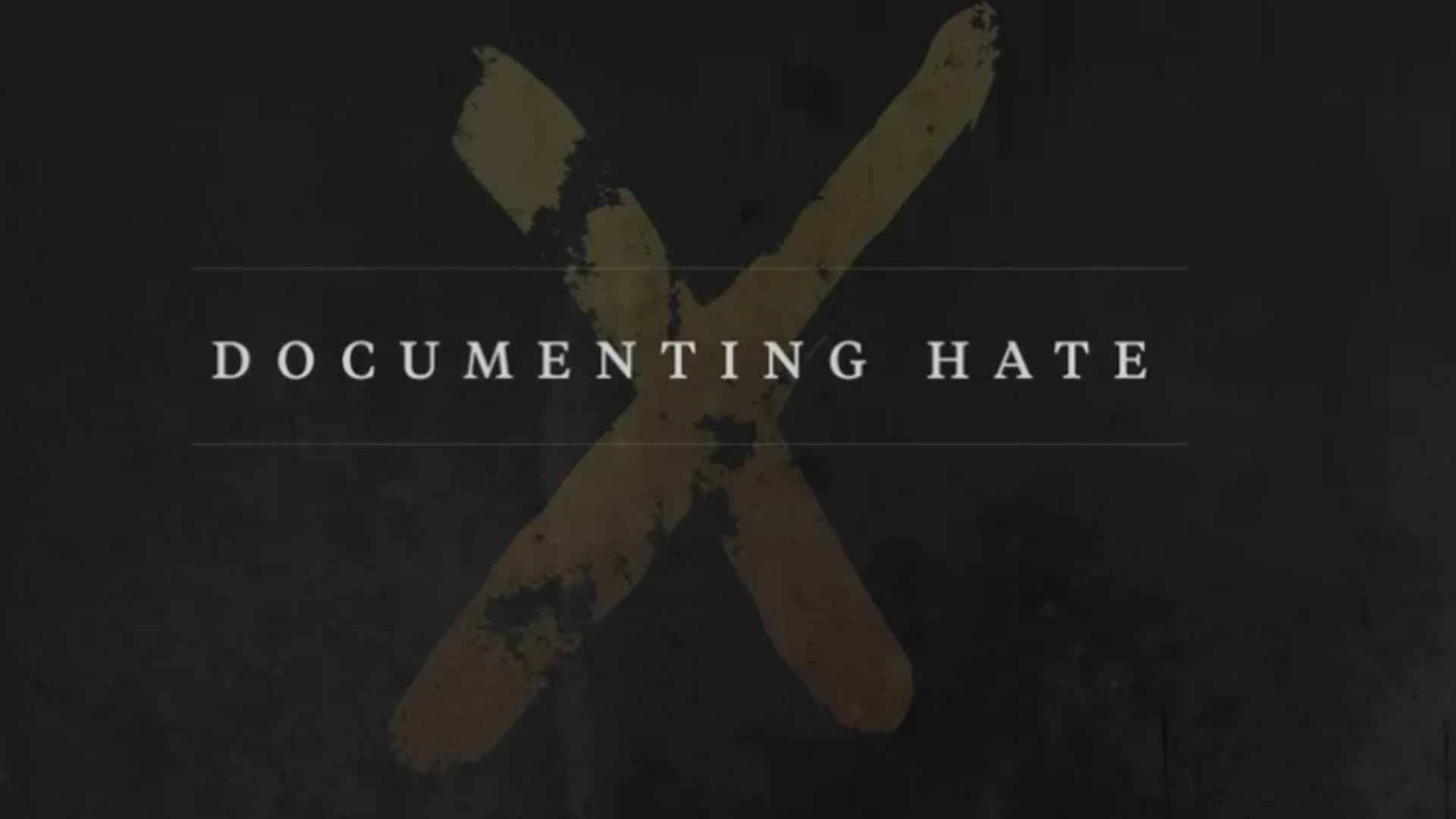 News 12 Long Island partners with Documenting Hate to report on hate crimes