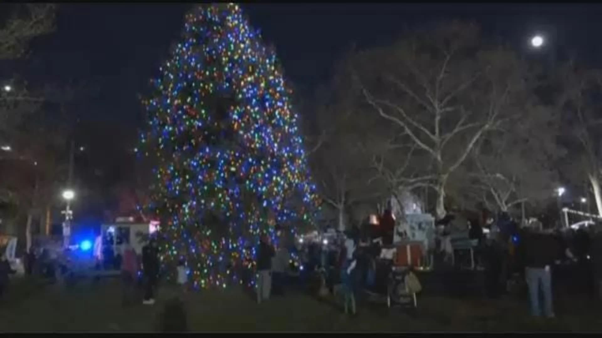 Fort Hamilton holds holiday tree lighting