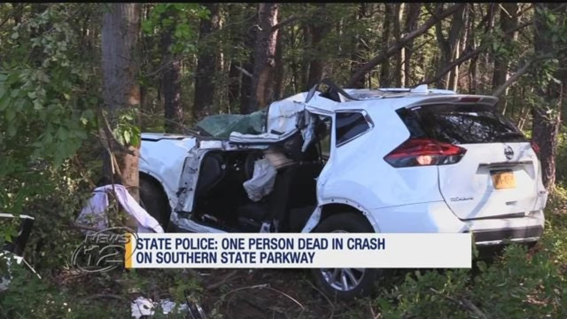 Police: 1 dead after car strikes tree on Southern State Parkway