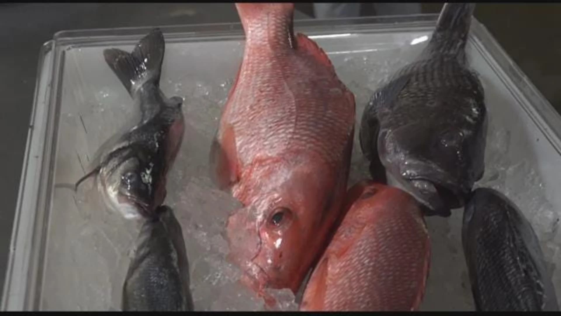 Fulton Fish Market, Jet.com partner for NYC deliveries