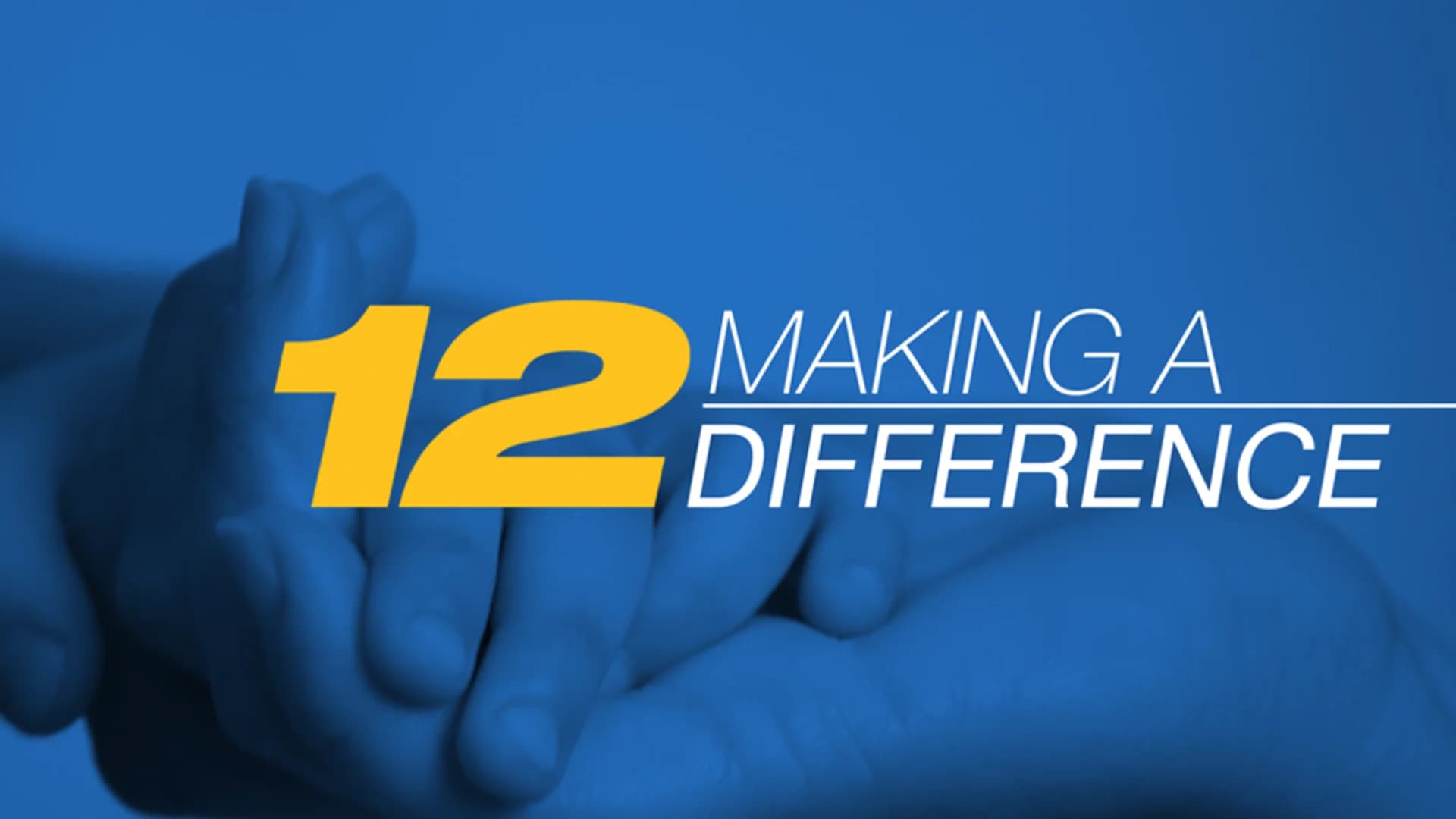 12 Making a Difference Information for 2018