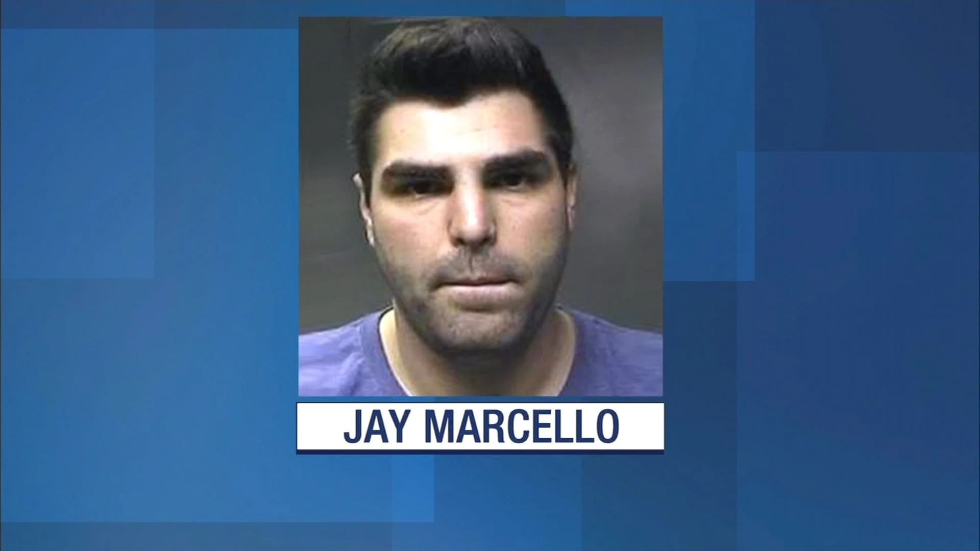 Prosecutors: Day camp counselor Jay Marcello, of Wantagh, had 8 victims