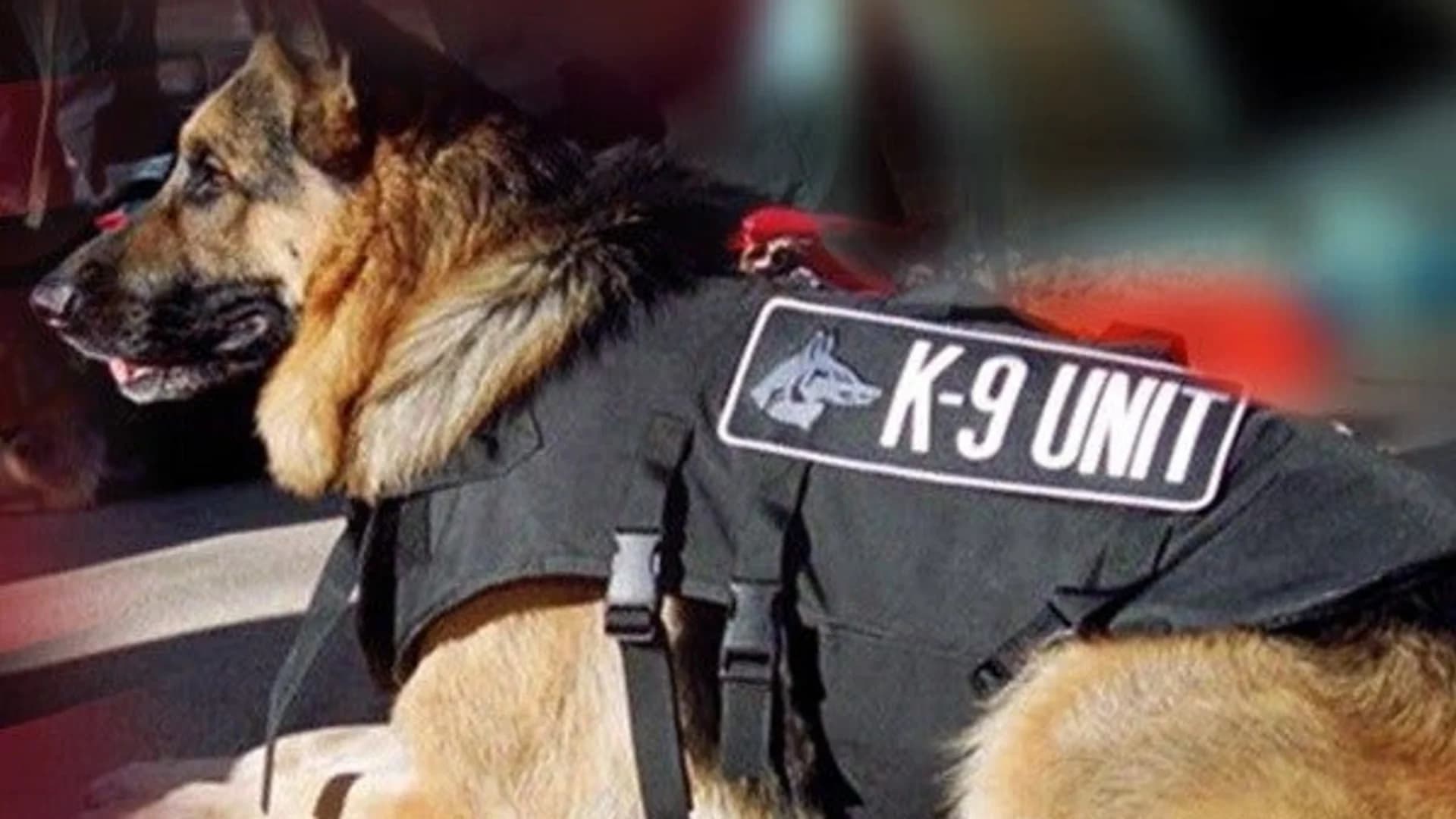 Fourth state K-9 unit receives body armor from nonprofit