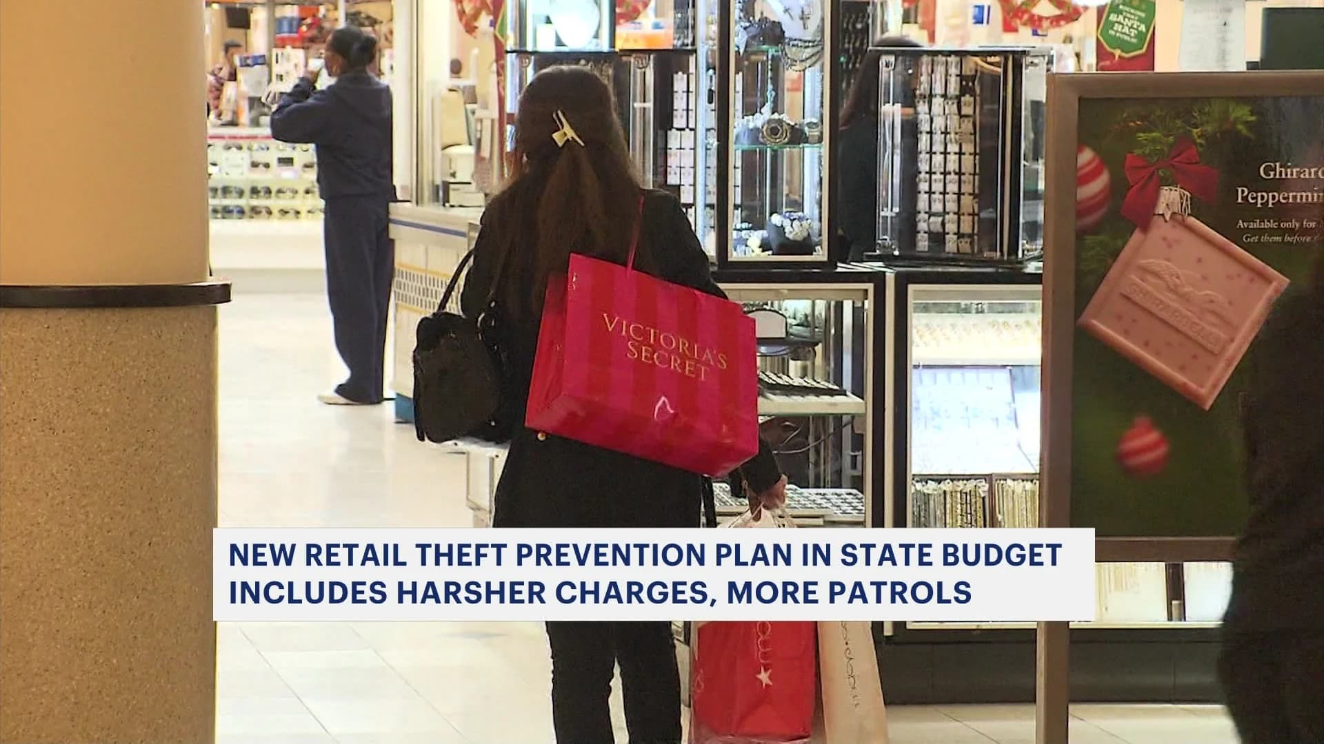 New retail theft prevention plan in state budget includes harsher charges, more patrols