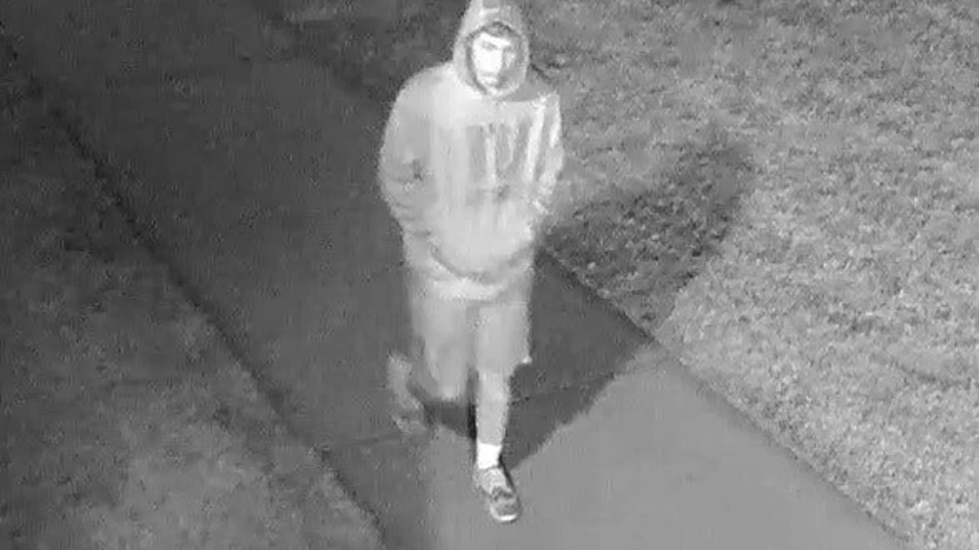 Police release photos of car, person in Syosset High School hate graffiti case