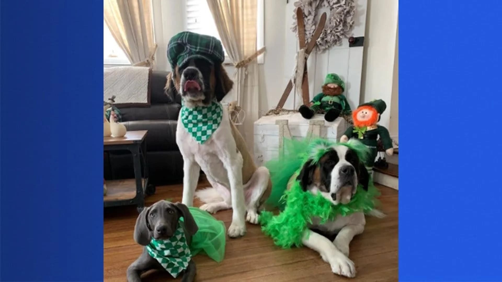 Your 2020 Long Island St. Patrick's Day Photos