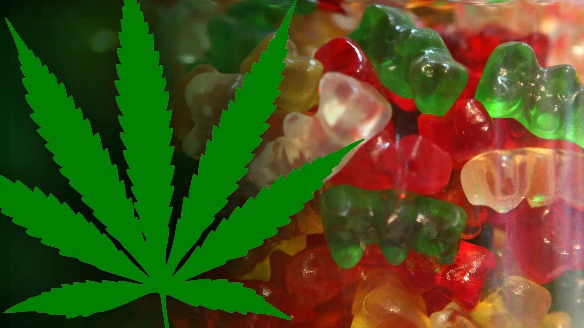Police: Classmate gives teen weed gummy bears to ‘stop her from stressing out’
