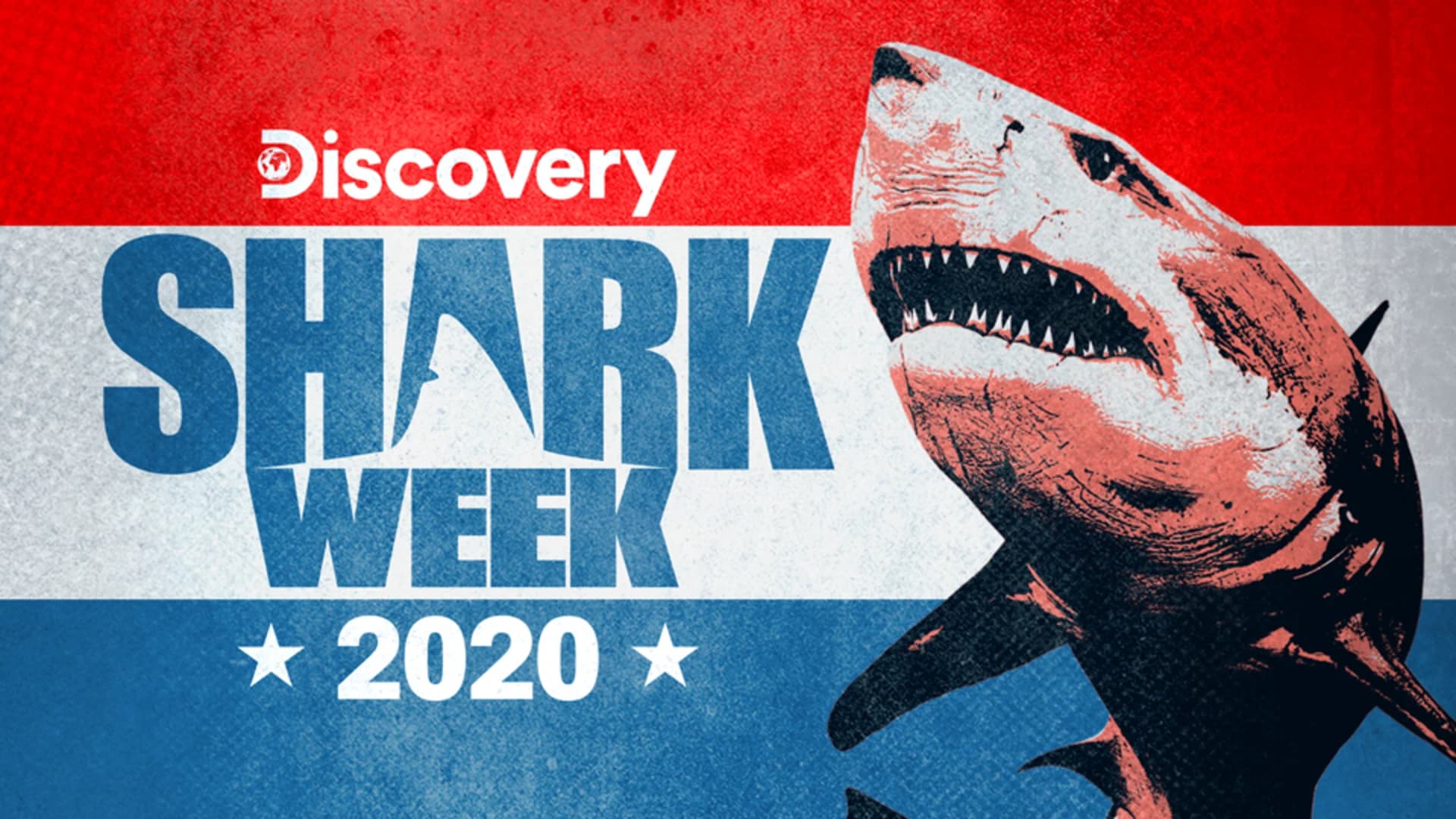 Enter to win a ‘jaw-some’ Shark Week virtual viewing party kit