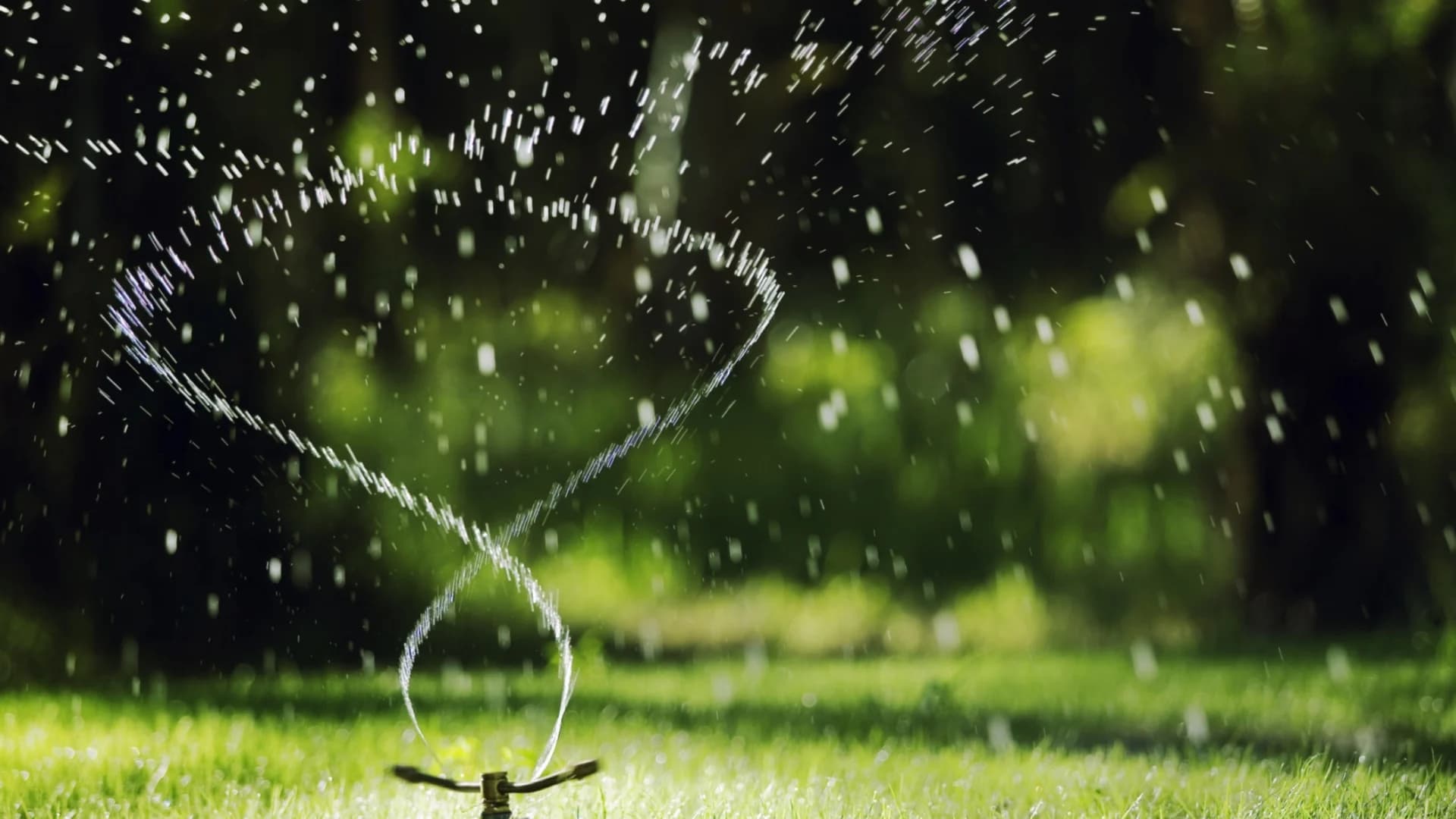 Watering Your Way to a Healthy Lawn