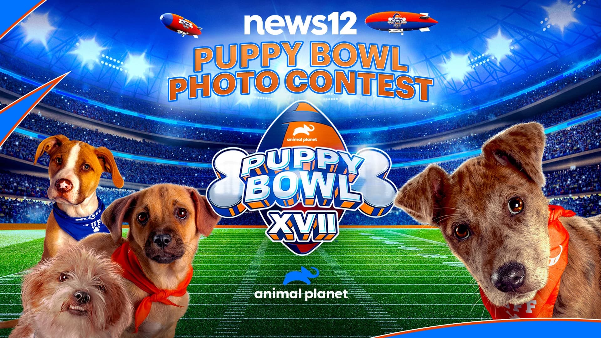 Official Rules - News 12 Puppy Bowl Photo Promotion-Sweepstakes
