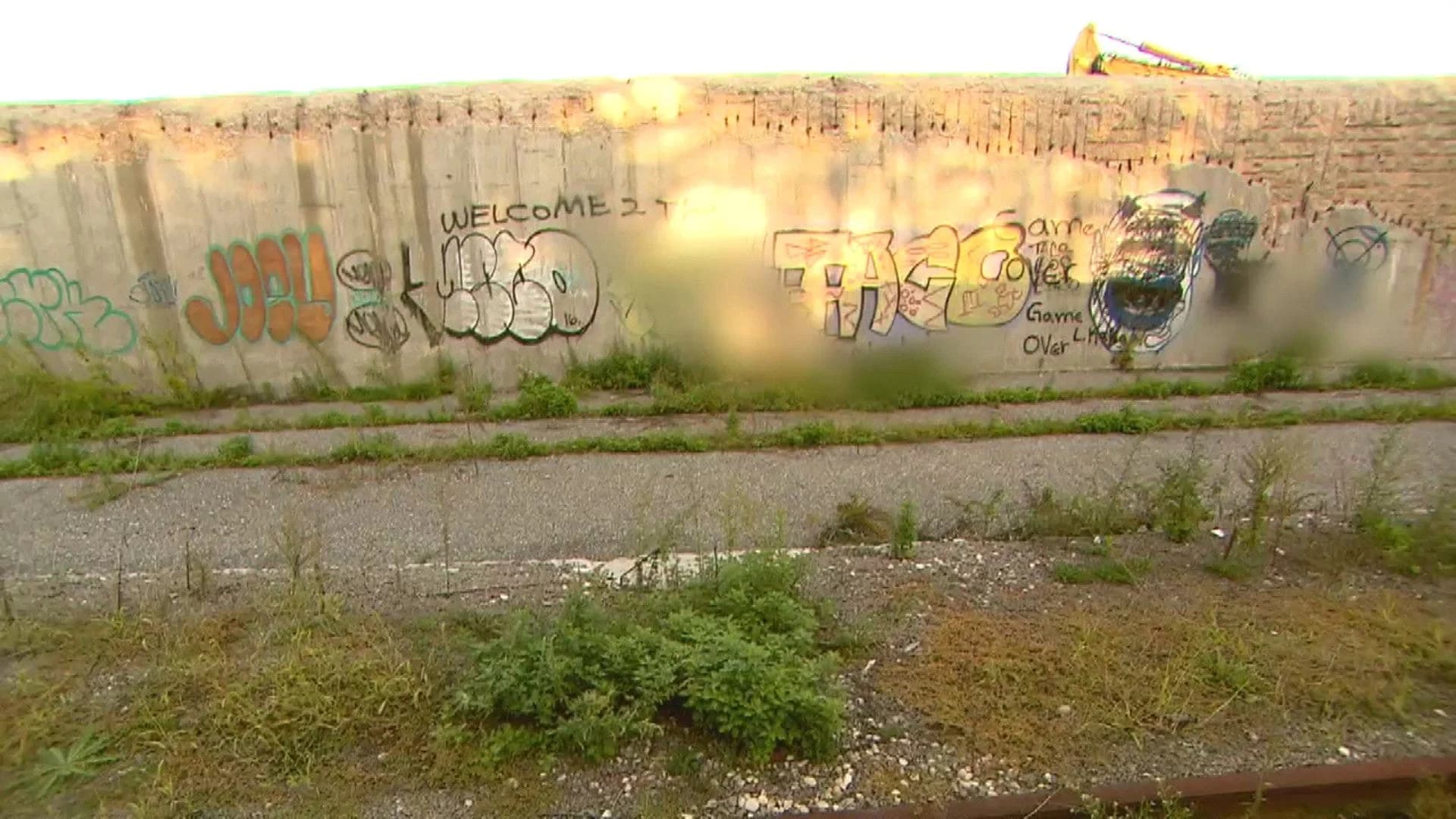 Gangs on Long Island: Nassau, Suffolk police track MS-13 gang
