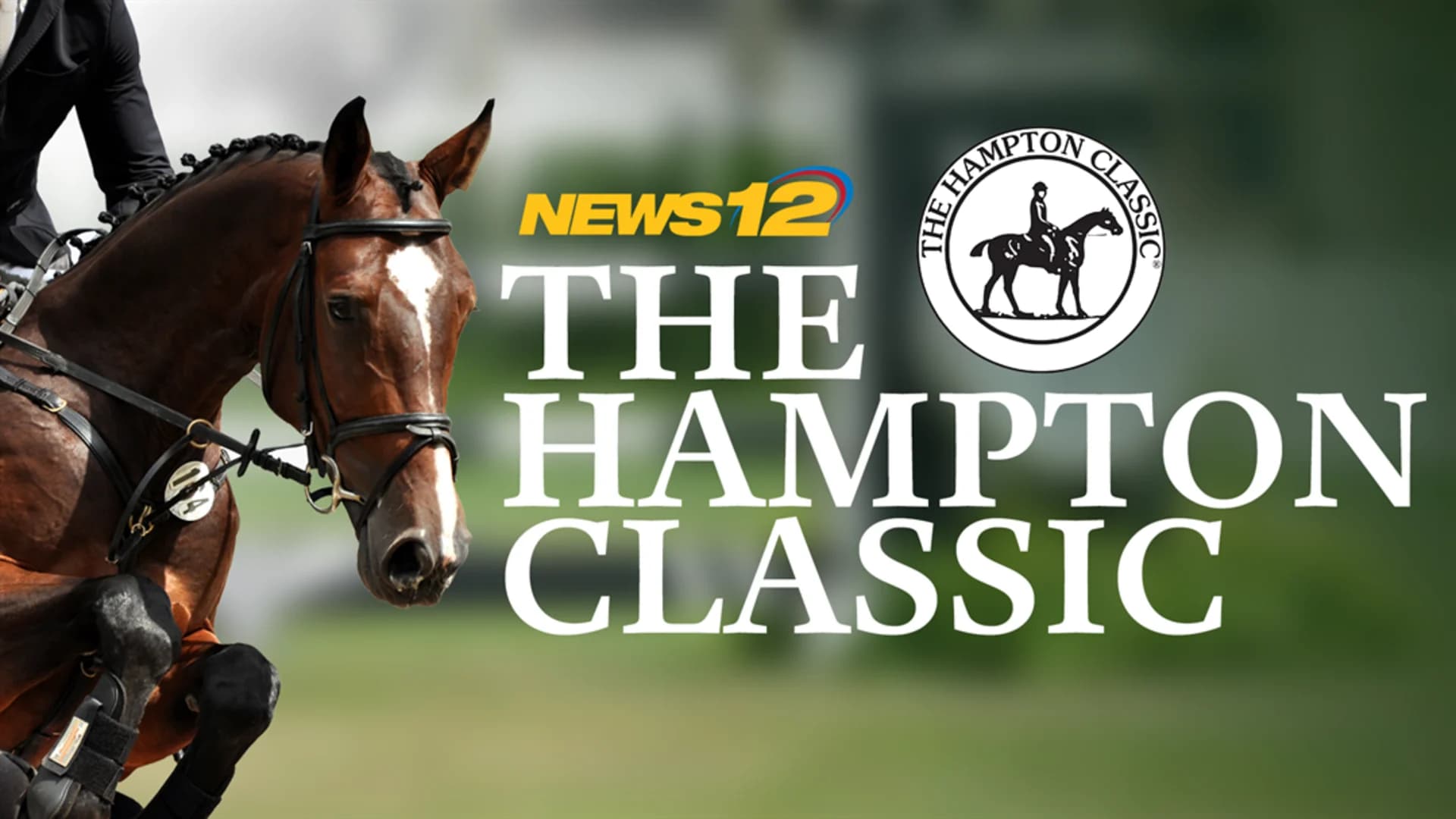 Highlights from the Hampton Classic